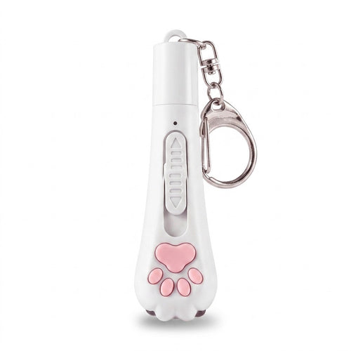 USB Rechargeable Pet Laser Pointer Toy