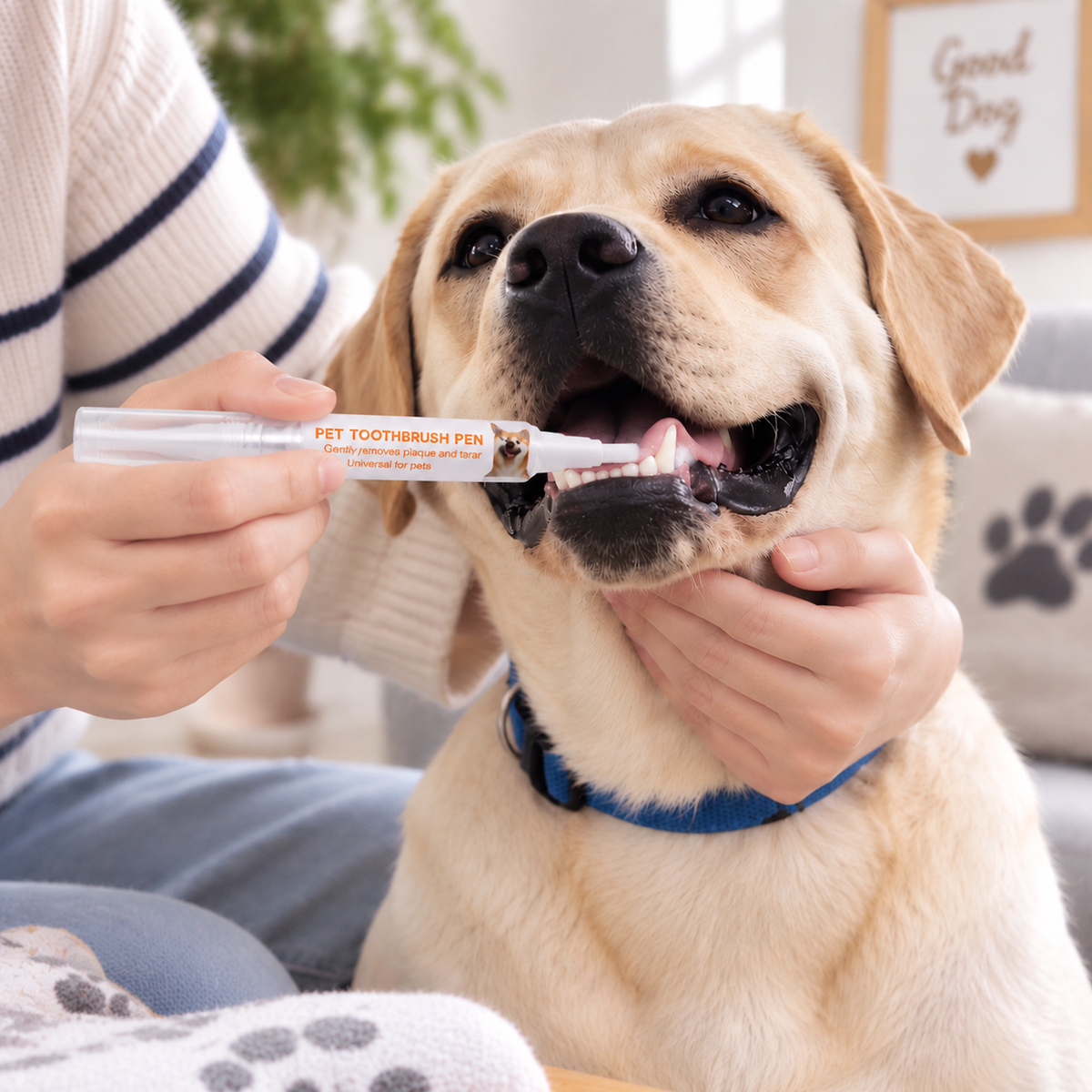 Pet Oral Care Pe