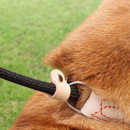 Beige P-Chain Leash for Small Dogs