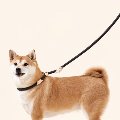 Beige P-Chain Leash for Small Dogs