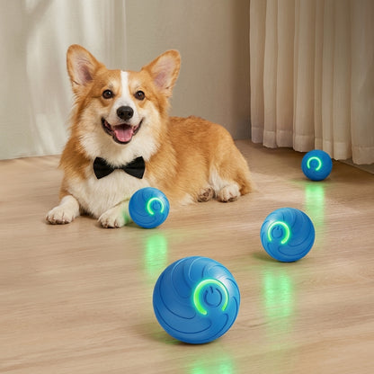 Smart Dog-Entertaining Bouncing Ball