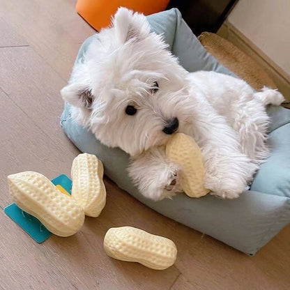 Milk Flavor Squeaky Peanut Pet Chew Toy